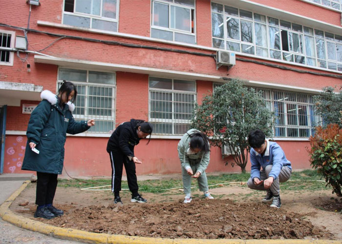 植树节——保护环境，以身作则