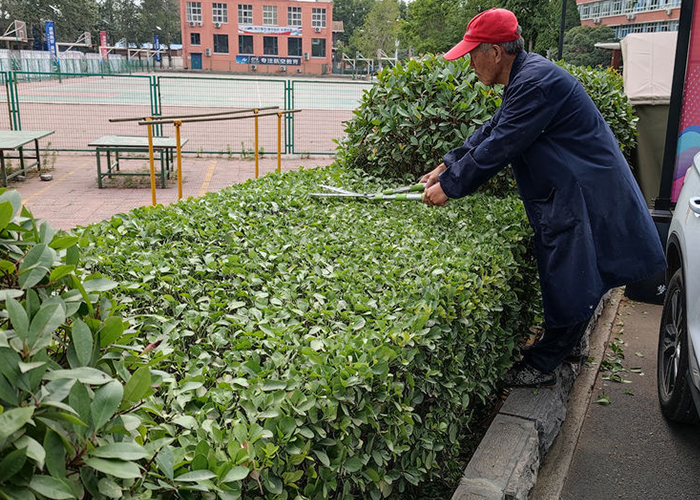 未标题-35-恢复的