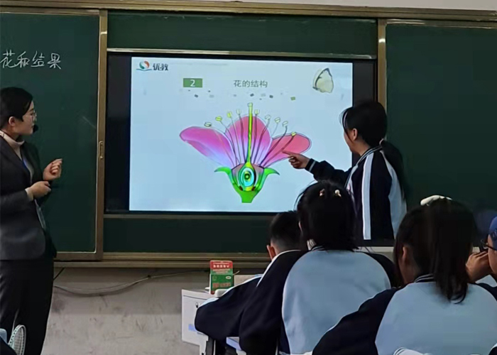 未标题-28初一生物