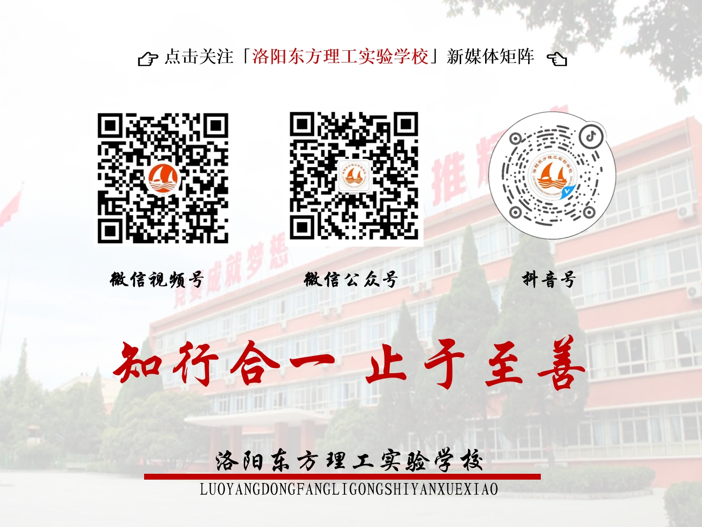 新媒体